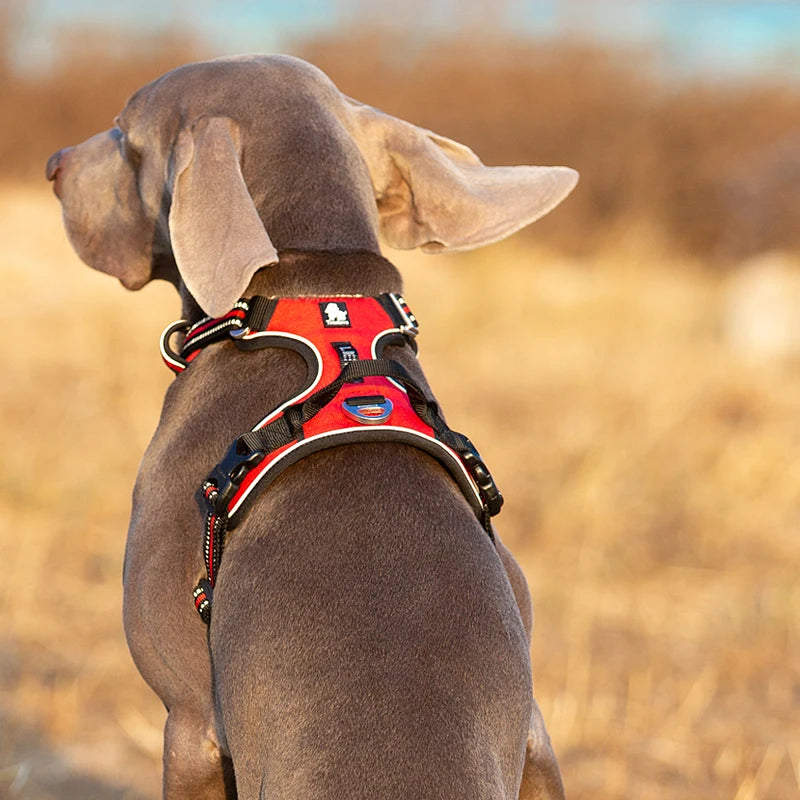 TrueLove Reflective Nylon Adjustable No Pull Dog Harness