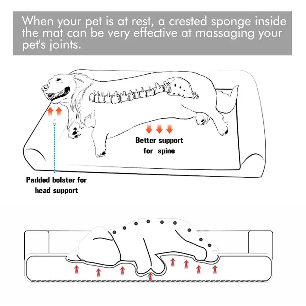 Bingopaw Orthopedic Dog Bed With Removable Washable Soft Foam Cover