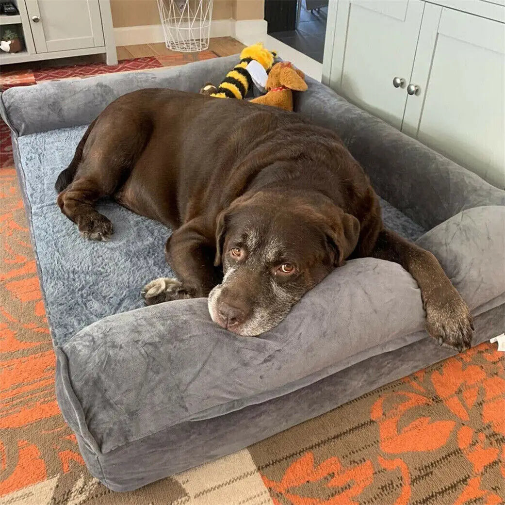 Bingopaw Orthopedic Dog Bed With Removable Washable Soft Foam Cover