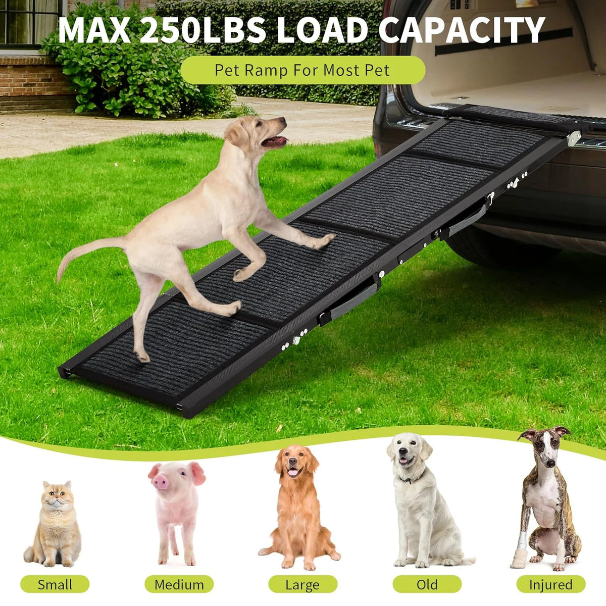 HiMiss Premium Safety Folding Car Ramp For Large Dogs