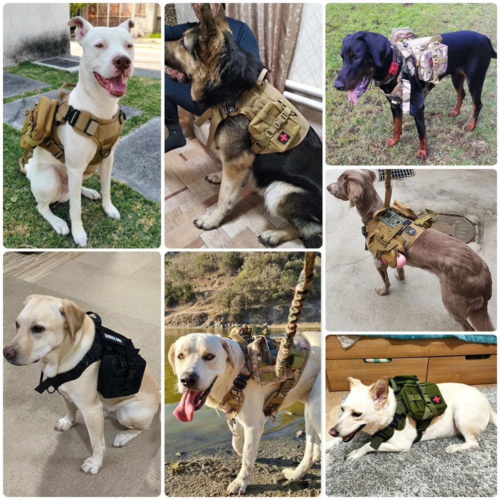 Tactical Dog Harness Leash Set For Large Dogs Malinois